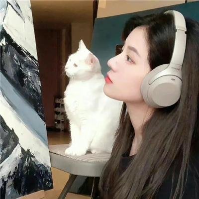 多情的野猫